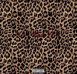 Tim Duzit - Kat Slater (Native Remedies Remix)