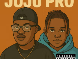 PRA - Juju Pro ft. Smur Lee