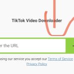How to Download Video From Tiktok Without Watermark (Free)