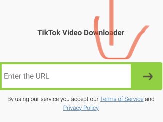How to Download Video From Tiktok Without Watermark