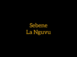 Tuzo Jeromini - Sebene la nguvu