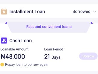 Flexicash Loan: How to Borrow Money From Palmpay Without BVN