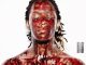 Young Thug - Miss My Dogs