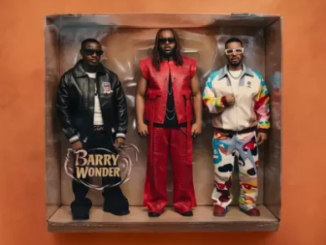 Bees & honey - Barry Wonder ft. Ruger, Daecolm & 10.93 Bees & honey – Barry Wonder ft. Ruger, Daecolm, 10.93