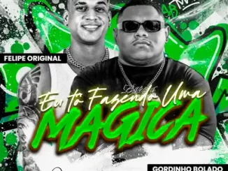 EU TÔ FAZENDO UMA MÁGICA - Felipe Original & Gordinho Bolado