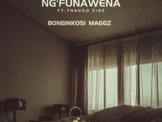 Bonginkosi Maggz - Ng'funa wena ft. Thando Zide