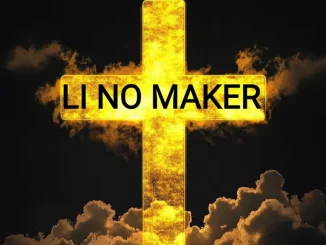 Li no maker - Happiness Is Free (Remix)