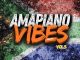 DJ Twise - Amapiano Vibes Mixtape, Vol.5 (2025 Party Mix)