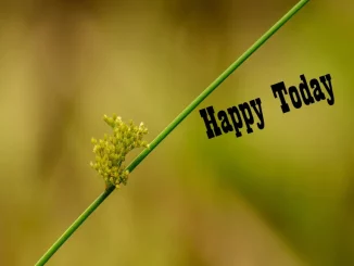 Baldwin Brederick - Cricket