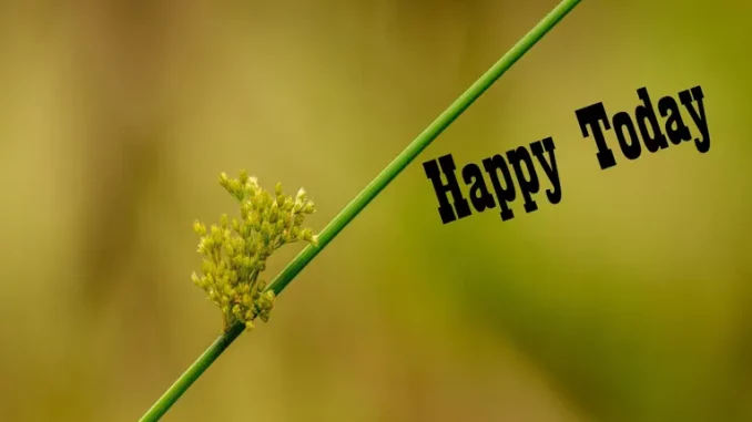 Baldwin Brederick - Cricket