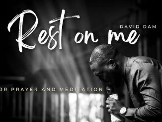 David Dam - Rest On Me