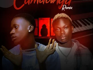 Lordy Vibes - Camavinga Remix ft. Indriza