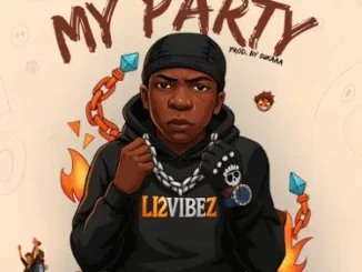 Li2vibez - My Party
