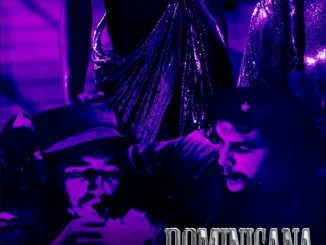 Neyo Stoner - Dominicana ft. Seyi Vibez