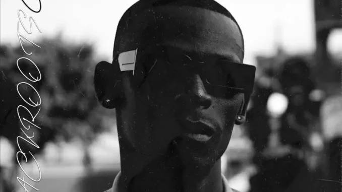 Blacko SA - J Walk ft. Tman Xpress & Mellow & Sleazy