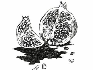 Paris Paloma - LABOUR (the cacophony)