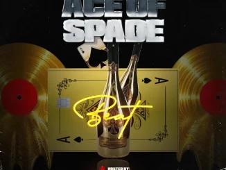 HypemanDJ Pablo - Ace of spade beat