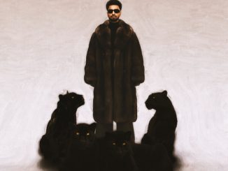 Navaan Sandhu - Deewane