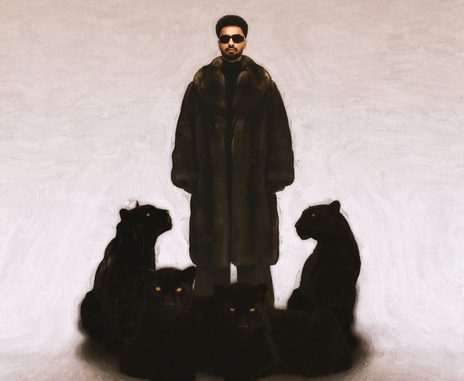 Navaan Sandhu - Deewane