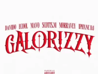 Davido - Galorizzy ft. Mavo, Scotts.M, Morravey & Iphxne DJ
