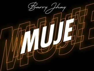 Barry Jhay - Muje
