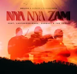 Mellow & Sleazy - Nya Nya Zam ft. Tman Xpress, LastBornDiroba, Zambezi & The Squad