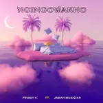 Priddy K – Ngingowakho ft. Jamah Musician