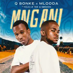Q Bonke - Mngani ft. Mlooda, Felo Le Tee & Smoove