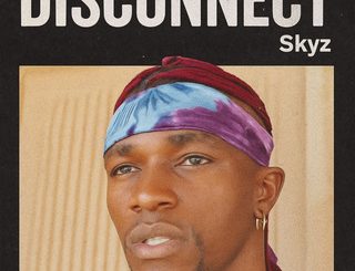 Skyz - Disconnect