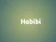 Sojaboy - Habibi