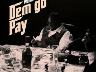 Wande Coal - Dem Go Pay