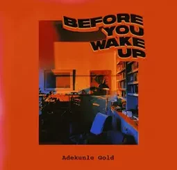Adekunle Gold - Before You Wake Up