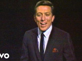 Andy Williams - The Most Wonderful Time Of The Year