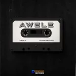 Micle – Awele ft. Damijhonsn