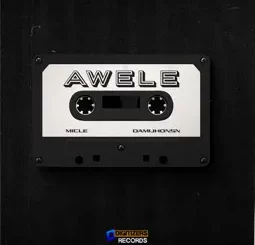 Micle - Awele ft. Damijhonsn