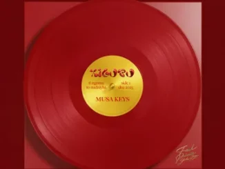 Musa Keys - Ngisize ft Konke & Ticozet