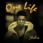 Skelvin – One life